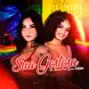 Sua Gostosa (feat. DJ Tubarão & Dj Eva) - Single album lyrics, reviews, download