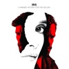 A Winged Victory For The Sullen - Comme on a dit