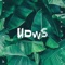 Weißwein (feat. el Henny & Vixx) - UDWS lyrics