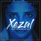 Xezal (feat. Cehennem Beat) artwork