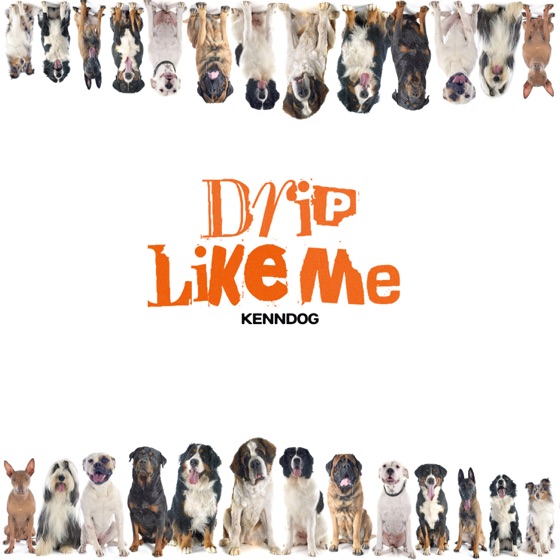Cover artwork for Drip Like ME