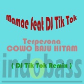 Terpesona Cowo Baju Hitam (DJ Tik Tok Remix) [feat. DJ Tik Tok] artwork