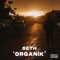 Organik - Seth lyrics