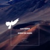 Berra: Birds on Mars - Single