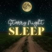 Starry Night Sleep artwork