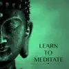 Learn to Meditate - Beautiful Soothing Music & Slow Relaxing New Age Songs to practice Guided Meditation Techniques for Beginners and Relaxation (Including Bonus Track Version) album lyrics, reviews, download