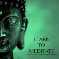 Learn to Meditate - Beautiful Soothing Music & Slow Relaxing New Age Songs to practice Guided Meditation Techniques for Beginners and Relaxation (Including Bonus Track Version) by Meditative Music Guru album reviews, ratings, credits