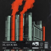Flavours (Extended Mix) artwork