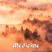 Medicine (feat. Lily Fangz, Shylah Ray Sunshine & Teddy Roxpin) - Single