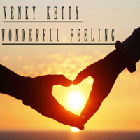 Venky Ketty - Wonderful Feeling artwork