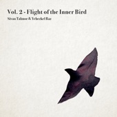 Vol. 2 - Flight of the Inner Bird - EP artwork