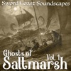 Ghosts of Saltmarsh, Vol. 1 artwork