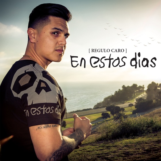 Cover artwork for En Estos Días