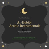 Al-Habibi Arabic Instrumentals artwork