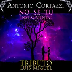 No Sé Tú (Instrumental) - Single by Antonio Cortazzi album reviews, ratings, credits