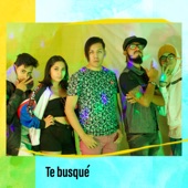 Te busqué (Remix) artwork