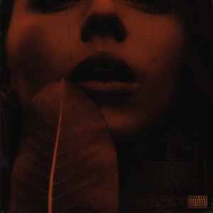 Til I Die - Single