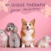 Musique thérapie pour animaux - Chansons pour déstresser nos animaux de compagnie, musique calmante, 2020