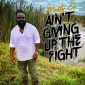 Ain't Giving Up the Fight artwork