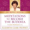 Meditations to Become the Buddha album lyrics, reviews, download