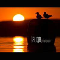 Lauge - Pusterum artwork