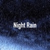 Night Rain