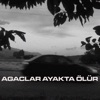 Ağaçlar Ayakta Ölür - Single