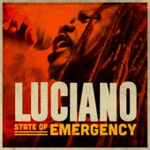 Luciano - State of Emergency (dub mix)