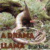 Songs from 'a Drama Llama' - EP
