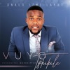 Vuyo Tshikila - Aneliswe osweleyo
