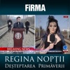 Regina Noptii - Single