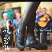 The Jig Is Up! - Mayor Harrison's Fedora / Last Night's Fun