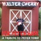 Shades of Gray (feat. Steve Goodie) - Walter Cherry lyrics
