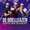 Djipte Fan De Nacht - De Doelleazen lyrics