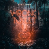 Wrong to Let U Go (feat. Florian Rus) artwork