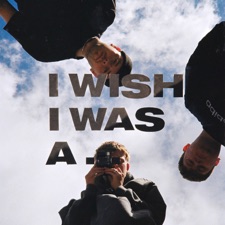 I Wish I Was A... artwork