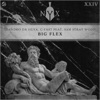 Big Flex - Single