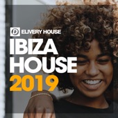 Ibiza House 2019 artwork