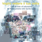 Voglio vedere il tuo volto (Canti di Lode e Adorazione del Rinnovmento dello spirito Santo - remastered) artwork