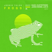 Frogs (Luis M Remix) artwork