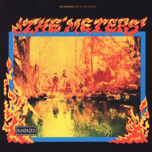 Art for They All Ask'd For You by The Meters