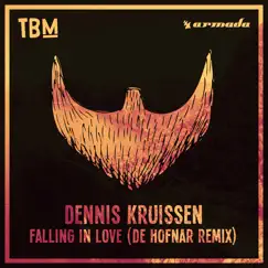 Falling in Love (De Hofnar Remix) - Single by Dennis Kruissen album reviews, ratings, credits