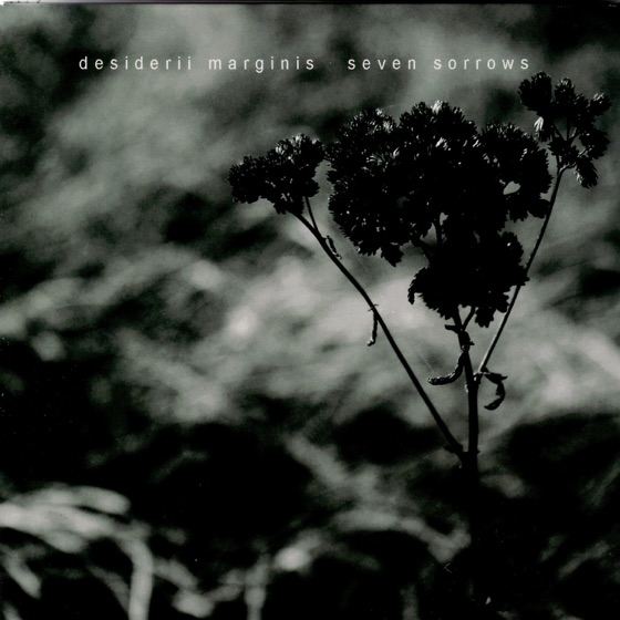 Cover artwork for The Bitter Potion