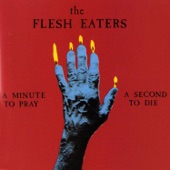 The Flesh Eaters - See You In The Boneyard