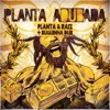 Planta E Raiz - Com Certeza (Adubada)