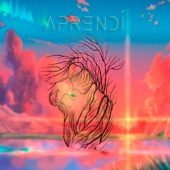 Aprendí artwork