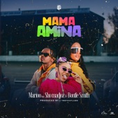 Mama Amina (feat. Sho Madjozi & Bontle Smith) artwork