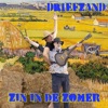 Zin In De Zomer - Single