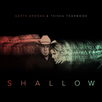 Trisha Yearwood - Shallow (The Duet with Garth Brooks and Trisha Yearwood) artwork