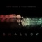 Shallow (The Duet with Garth Brooks and Trisha Yearwood) artwork